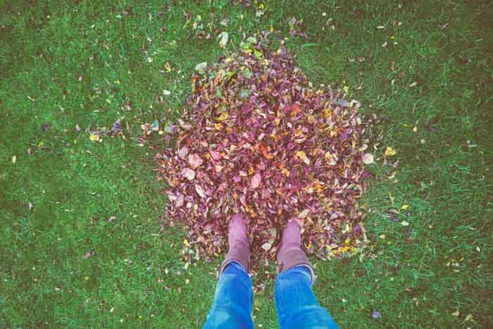 How to Clean Up the Leftovers: 3 Ways to Finish the&nbsp;Job